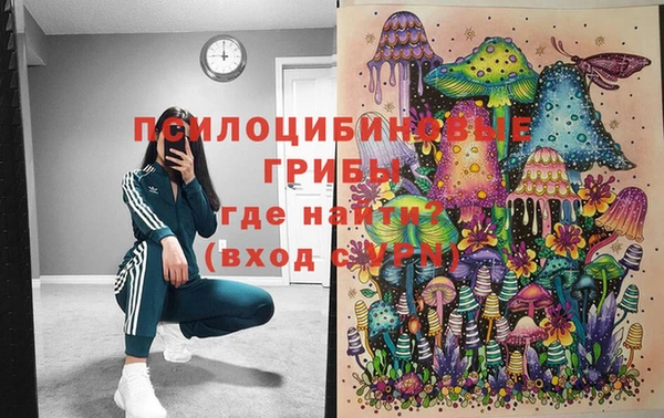 хмурый Балабаново