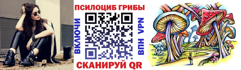 Псилоцибиновые грибы GOLDEN TEACHER  хочу наркоту  ОМГ ОМГ как войти  Гудермес 